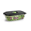FoodSaver Preserve & Marinate Vacuum Containers, 10 Cup, BPA-Free, Dishwasher