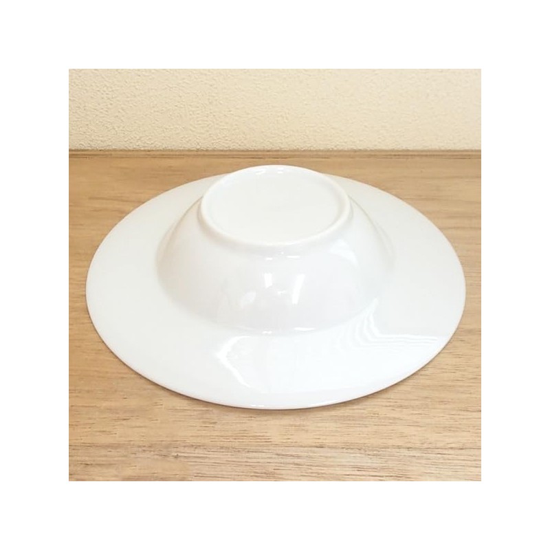 Plate Leaf Length Dishes 熔岩 Flow 和食 Charger Industrial 美濃