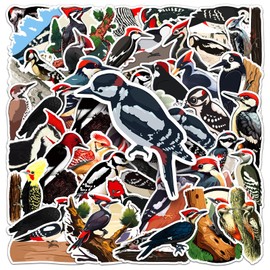 50 Pcs Woodpecker Vinyl Stickers,Cartoon Bird Graffiti Stickers,Vinyl Waterproof Sticker for Kids Teens Girls,for Phone Laptop Bottles Skateboard Computer Phone Luggage Guitar Gifts Sticker