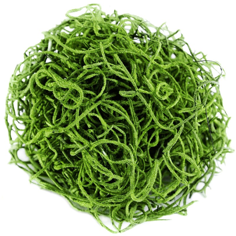SuperMoss (26907) Spanish Moss Preserved, Grass, 4oz, 120 cubic in