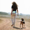 PINETAPIRS Hands Free Dog Leash with Bungees, Adjustable Waist Belt,