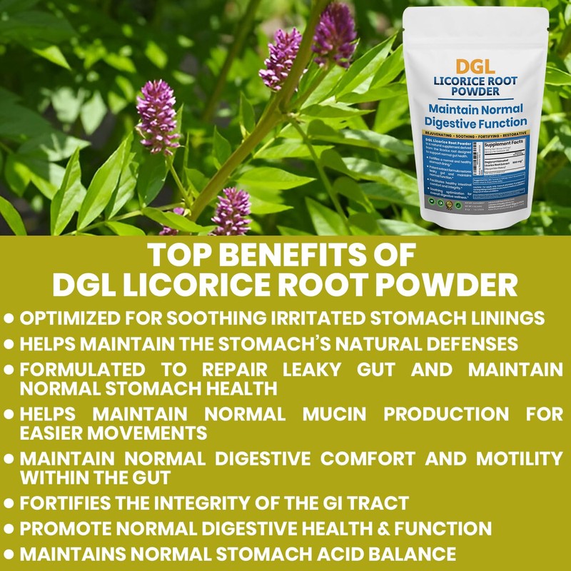 DGL Licorice Supplement: Supports Digestive Health, Gut Lining Support, DGL