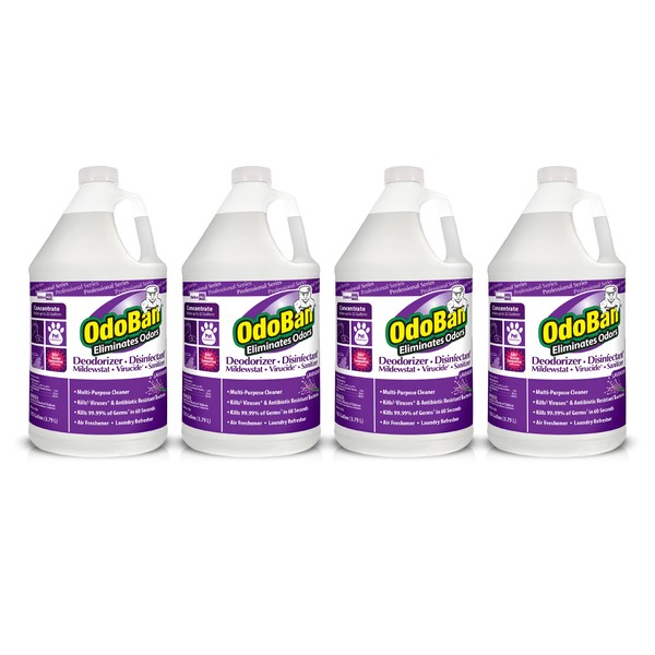OdoBan OdoBan Professional Disinfectant and Odor Eliminator Concentrate, 4-Pack, 1