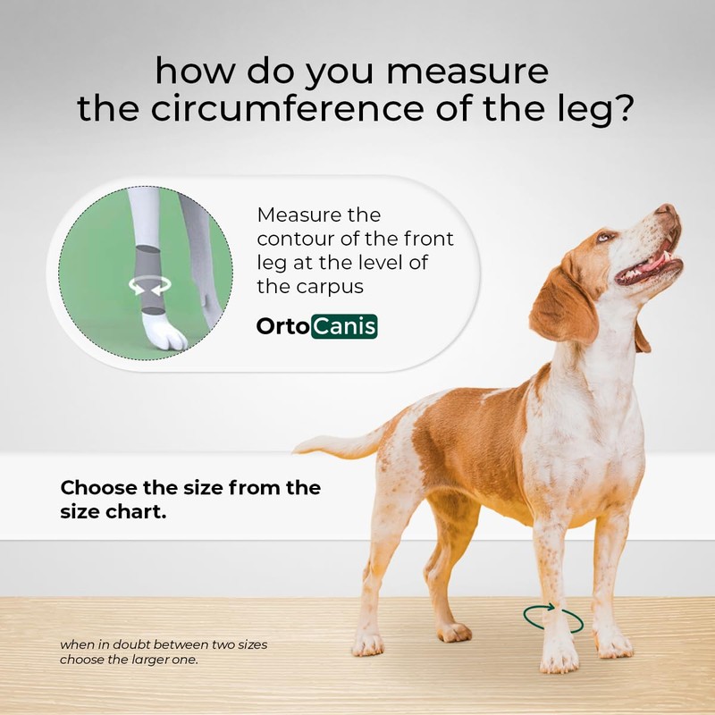 Ortocanis - Dog Leg Brace - Front Leg Brace for