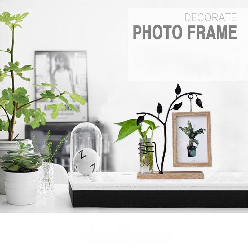 6-Inch Iron Art Hydroponic Photo Frame - Double-Sided 4x6 Glass