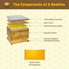 Beehive 10 Frame Bee Hives Complete Bee Hive Box Kit