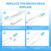 8 Pack Electric Toothbrush Heads Replacement Sensitive Dual Clean Rotating