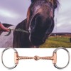 Snaffle de Caballo de Acero Inoxidable Snaffle de Acero Inoxidable,