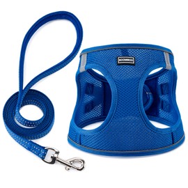 BOOMIBOO Dog Harness with Leash Set, No Pull Adjustable Reflective Step-in Puppy Pet Vest Harnesses for Small Medium Large Dogs and Cats,Blue L
