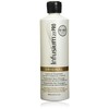 InfusiumPro23 Leave in Treatment Conditioner, Original, 16 Fl Oz -