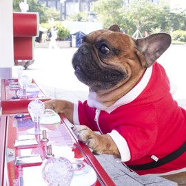 iChoue Santa Claus Father Christmas Dog Costumes Clothes Hoodies for French Bulldog Cold Weather Winter Coats Frenchie English Pug Pitbull Boston Terrier - Red/XXLarge