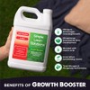 Extreme Grass Growth Lawn Booster- Liquid Spray Concentrated Starter Fertilizer
