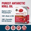 LABO Nutrition Perfect Krill Ex, 1000 Mg De Aceite De
