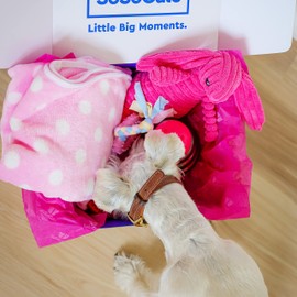 SoSoCute Pink Dog Gift Box - Puppy Chew Toy Set of 5 - Care Package with Dog Blanket, Squeaky Plush, Rubber Puppy Teether, Teething Ball, and Treat Ball for Small and Medium Dogs
