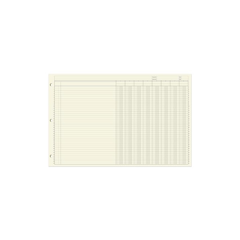 BookFactory Ledger Sheets/Large 8 Column Accounting Ledger Columnar (Eight Columns)