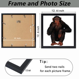 12x12 Frame, Horizontal and Vertical Formats for Wall Hanging, 12 x 12 Square Wall Gallery Poster Photo Frame with Durable Shatter Resistant Plexiglass, 12 x 12 Picture Frame Black