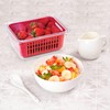 Oggi 5169 Berry Bin - Single Basket, Red