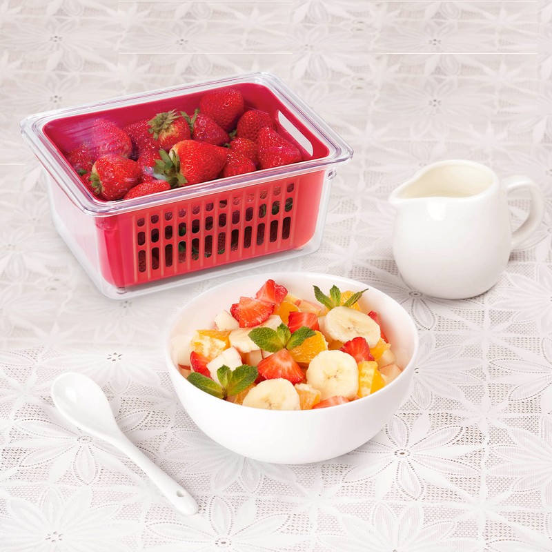 Oggi 5169 Berry Bin - Single Basket, Red