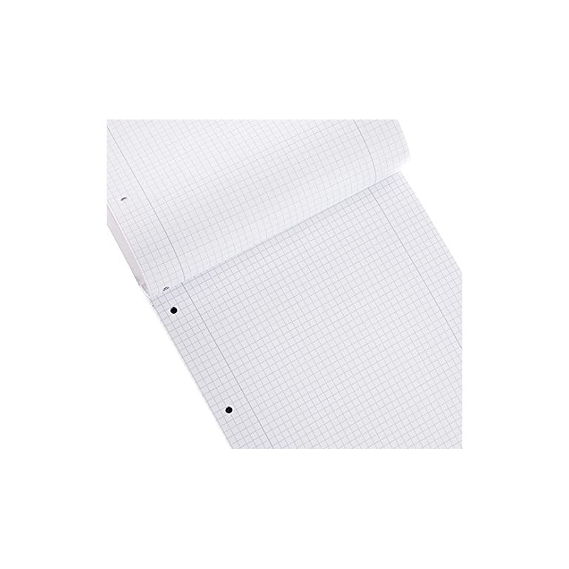 Brunnen 1052528 School Notepad (A4, 50 Sheets, Squared, with Margin