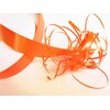 100 m Poly Ribbon 25 mm Wide: Orange
