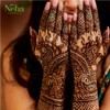 neha herbal Mehandi Cone (Pack of 12)