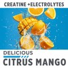 CON-CRET Creatine HCl + Hydration | Electrolyte Powder Tub |