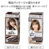 Liese Prettia Bubble Color Hair Dye
