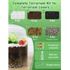 Terrarium Kit Adults - Includes Pumice, Moss, Soil, Pebbles, Charcoal,