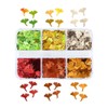 Fall Nail Art, 2 Boxes 3D Holographic Fall Leaves Nail
