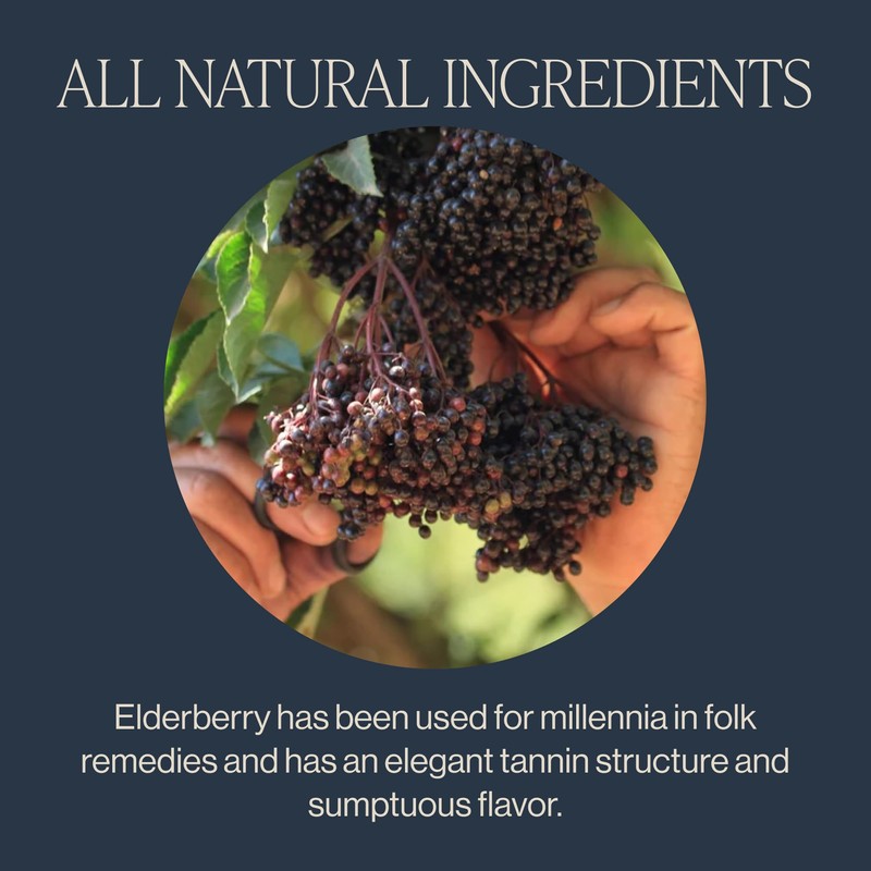 Rishi Tea Elderberry Healer Herbal Tea - Organic, Caffeine Free