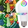 okalumi LED Bulb, E26 Base, Daylight (6000k), 100W Equivalent, 1710