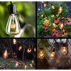 Couah Edison Light Bulbs 10-Pack Replacement ST38 Clear Bulbs -