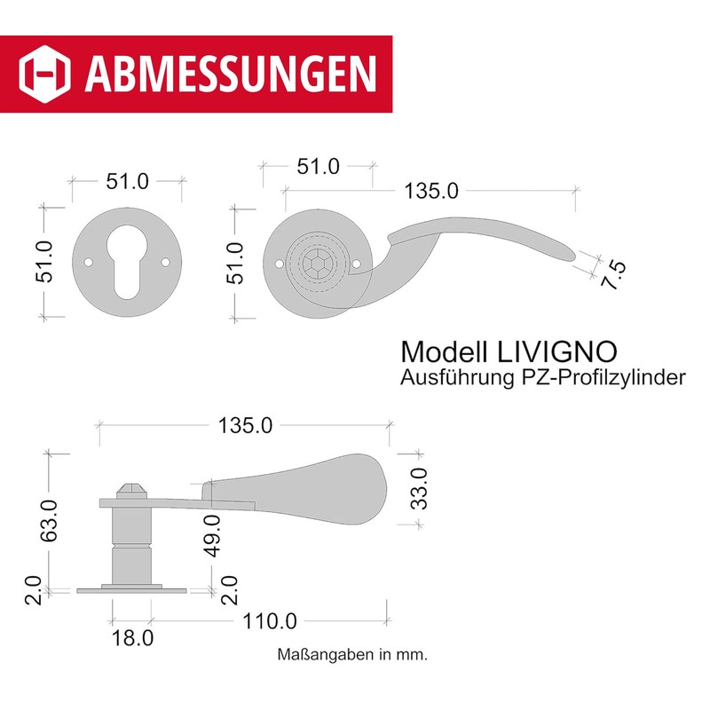 GedoTec Livigno Door Handle Wrought Iron 1 Set - Door