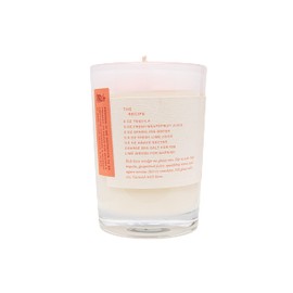 Rewined - Premium Paloma Orange Candles (6oz) - Velvety Smooth, Smoky Scented with Notes of Agave & Pink Grapefruit - Non Toxic Candles