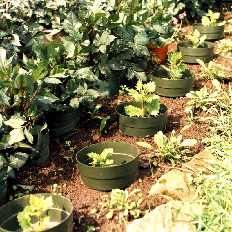 De-Plastik Aquaring Set of 10 | Diameter 20 cm |