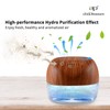ap airpleasure Water-Based Purifier Air Washer, Air Revitalizer & Freshener,