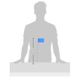 C H HANSON 15068 Marking Flag, 15", Blue, 10 pack