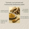 NIVELLE Turmeric Curcumin | Pure Turmeric Curcumin Supplement 1000mg |