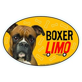 Boxer Car Magnets: Boxer Limo on Board - Oval 6" x 4" Auto/ Truck/ Refrigerator/ Mailbox (Funny Car Decals, Dog Magnet, Boxer)