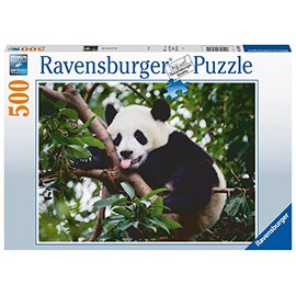 Ravensburger 16989 Panda Bear 500 Piece Jigsaw Puzzle for Adults & Kids Age 10 Years Up, Multicolour
