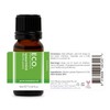 ECO. Modern Essentials Spearmint Pure Essential Oil, 10ml