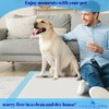 Dog Pee Pads 22x22 – 50 Count Super Absorbent Puppy