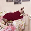 Hjyokuso Cat Clothes - Sphynx and Cornish Rex Jumper, Sweater,
