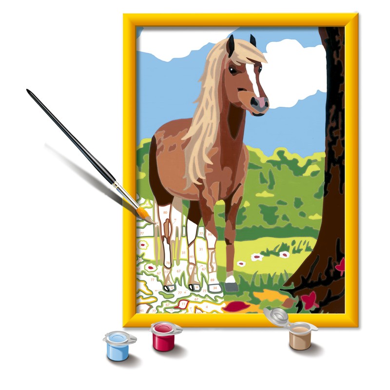 Ravensburger Paint by Numbers, multicoloured