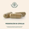 Enzimas Digestivas Bromelina Papaína 60 Cápsulas | LIFE360+