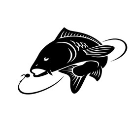 Carp Fish Sticker, Fishing Decals for Truck Car Van Tackle Box, Vinyl Decals, Fishing Accessrories (160mm x 100mm (LxH))