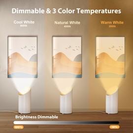 Brightown LED SpotLights - 2 Pack Uplighting Floor Can Lights with Remote and Timer, 3 Color Temperatures & Dimmable, 2 Lighting Modes for Wall Picture Painting Plants Indoor Accent Lighting, White