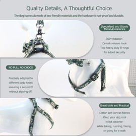 Dog Collar and Harness with Leash Set, Breathable Puppy Harnesses for Small Dogs, No Pull Easy Walking Pet Harness, Green, S