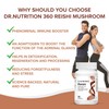 Dr Nutrition 360 Reishi Mushroom 500 mg - Liver Health