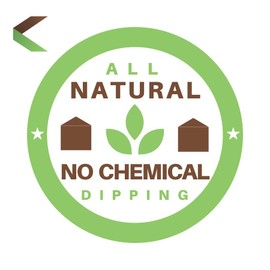 Kasa Style Ancient Sensations Premium Incense Sticks - 1% Natural No Chemicals - 1 Hour Burning - 100gr (Masala)